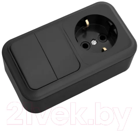 Блок выключатель+розетка Bylectrica 2В-РЦ-529 (черный)