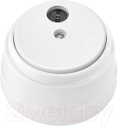 Розетка Bylectrica ТР-5241 (белый)