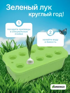 Ящик для рассады GREENGO для выращивания зеленого лука / 9035821 (зеленый) — фото 3