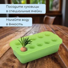 Ящик для рассады GREENGO для выращивания зеленого лука / 9035821 (зеленый) — фото 6