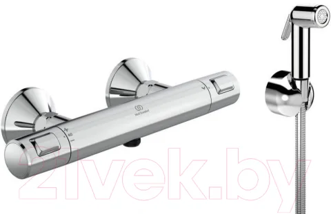 Гигиенический душ со смесителем Ideal Standard A7201AA + B0595AA
