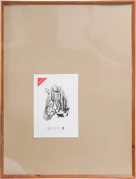 Рамка ZEBRA Abilene 60x80 / 4194653