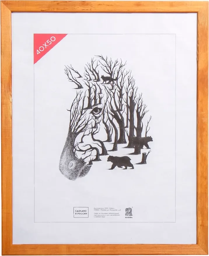 Рамка ZEBRA Anderson 40x50 / 4194666