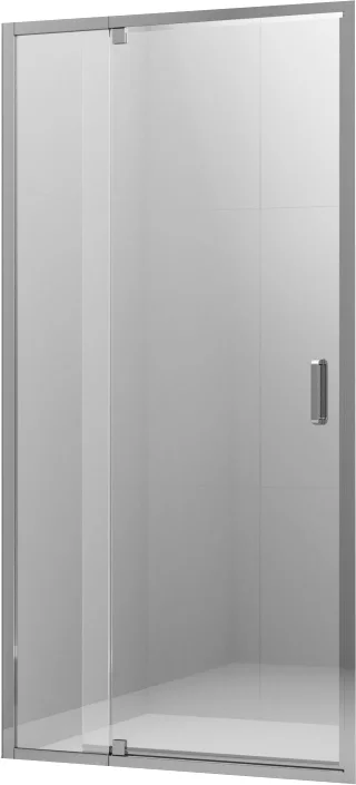 Душевая дверь Ambassador Elysium 100x200 / 111021104KX