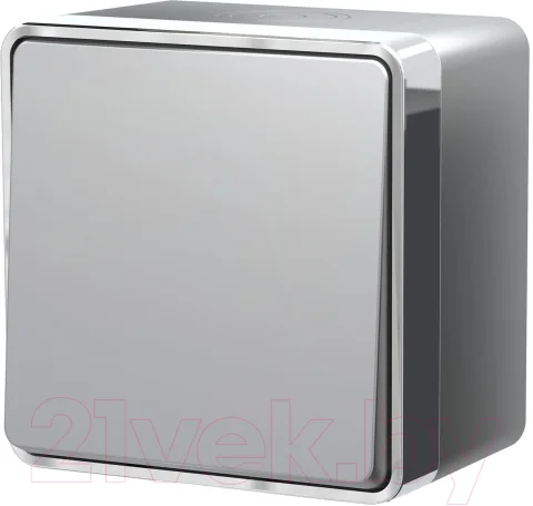 Выключатель Werkel Gallant W5010206 (серебро)