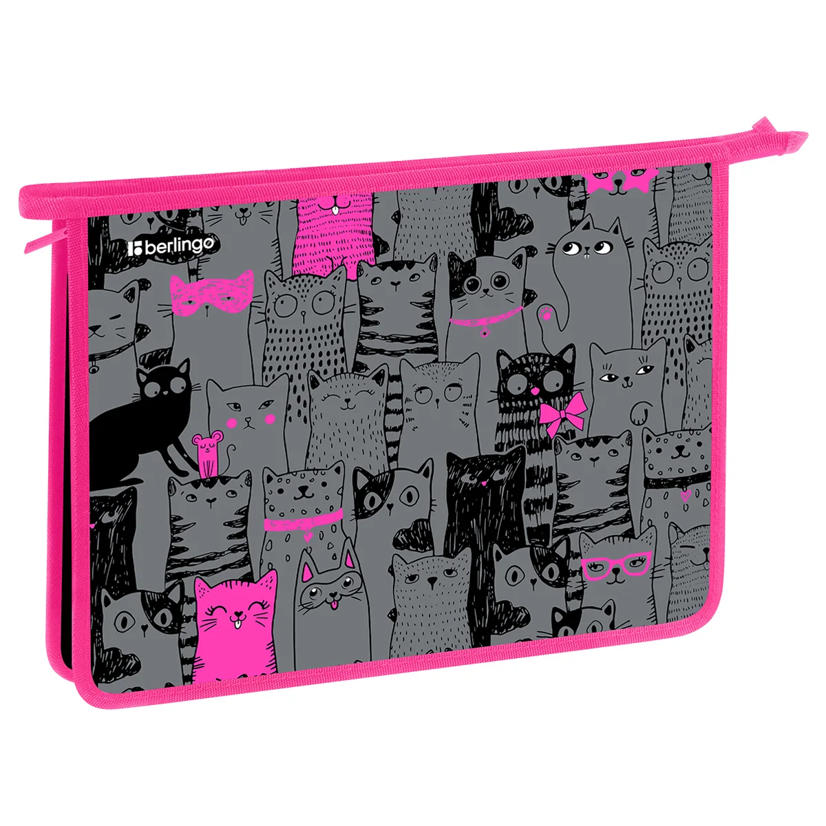 Папка для тетрадей Berlingo Happy Cats / BR-PP-A40504