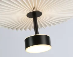 Потолочный светильник Ambrella LH72601 BK/WH (черный/белый) — фото 5