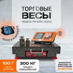 Весы платформенные Shtapler PW 300 42x52 / 71057110 (беспроводные) — фото 9