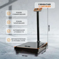 Весы платформенные Shtapler PW 600 60x80 складная стойка / 71057107 — фото 5