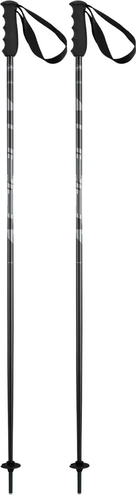 Горнолыжные палки Elan Speedrod 2025-2026 / CD532023-130 (р.130, черный)