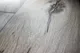 Ламинат Kastamonu Sunfloor Дуб Северная звезда SF33CV-63 — фото 8