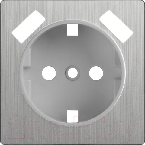 Лицевая панель Werkel WL09-USB-CP / a037011 (cеребряный рифленый)