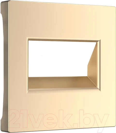 Лицевая панель Werkel WL11-RJ45+RJ45-CP / a040911 (шампань)