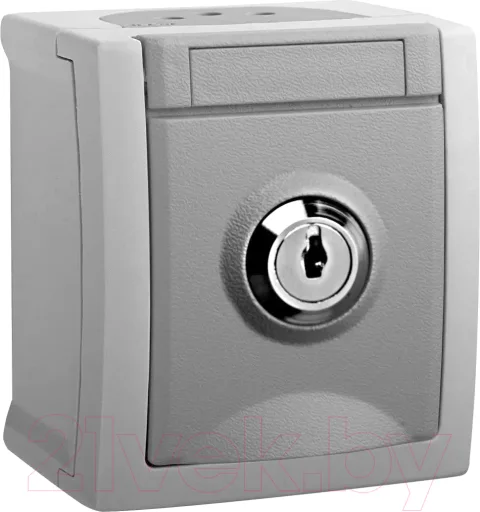 Розетка Panasonic WPTC42192GR-RU
