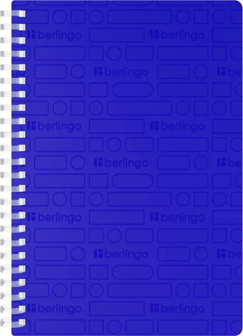 Тетрадь Berlingo Your Way / SRn_A5891 (80л, синий)