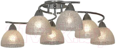 Люстра Lussole Zungoli LSF-1603-06