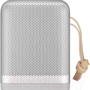 Портативная колонка Bang & Olufsen BeoPlay P6 /1140046