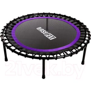 Батут BaseFit TR-501
