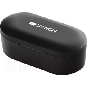 Беспроводные наушники Canyon CND-TBTHS2B