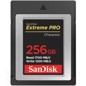 Карта памяти SanDisk Extreme Pro CF Express Card Type B 256GB (SDCFE-256G-GN4NN)