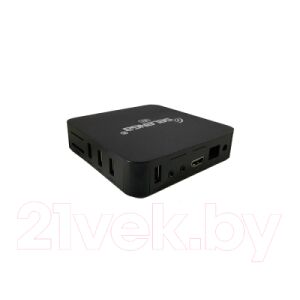 Медиаплеер Selenga R1