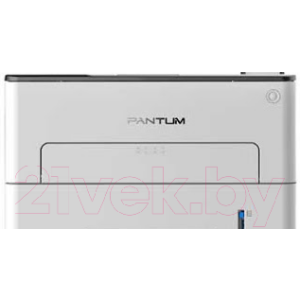 Принтер Pantum P3010D