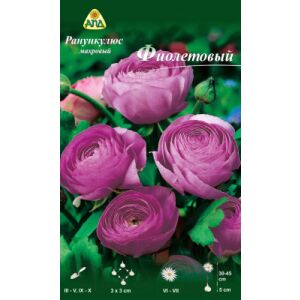 Семена цветов АПД Ранункулюс фиолетовый махровый / A30668
