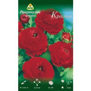 Семена цветов АПД Ранункулюс красный махровый / A30664