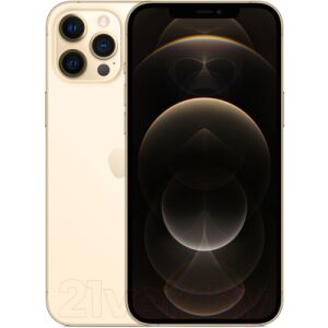 Смартфон Apple iPhone 12 Pro Max 256GB / MGDE3 (золото)