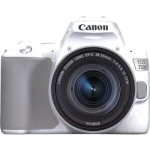 Зеркальный фотоаппарат Canon EOS 250D Kit EF-S 18-55mm IS STM / 3458C001