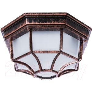 Бра уличное Arte Lamp Pegasus Piatto A3100PL-1AC