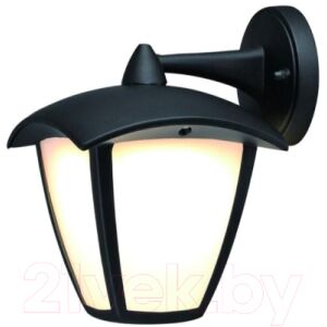 Бра уличное Arte Lamp Savanna A2209AL-1BK