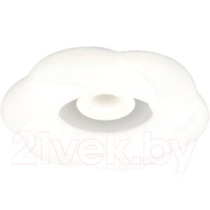 Потолочный светильник Aitin-Pro H6602/500